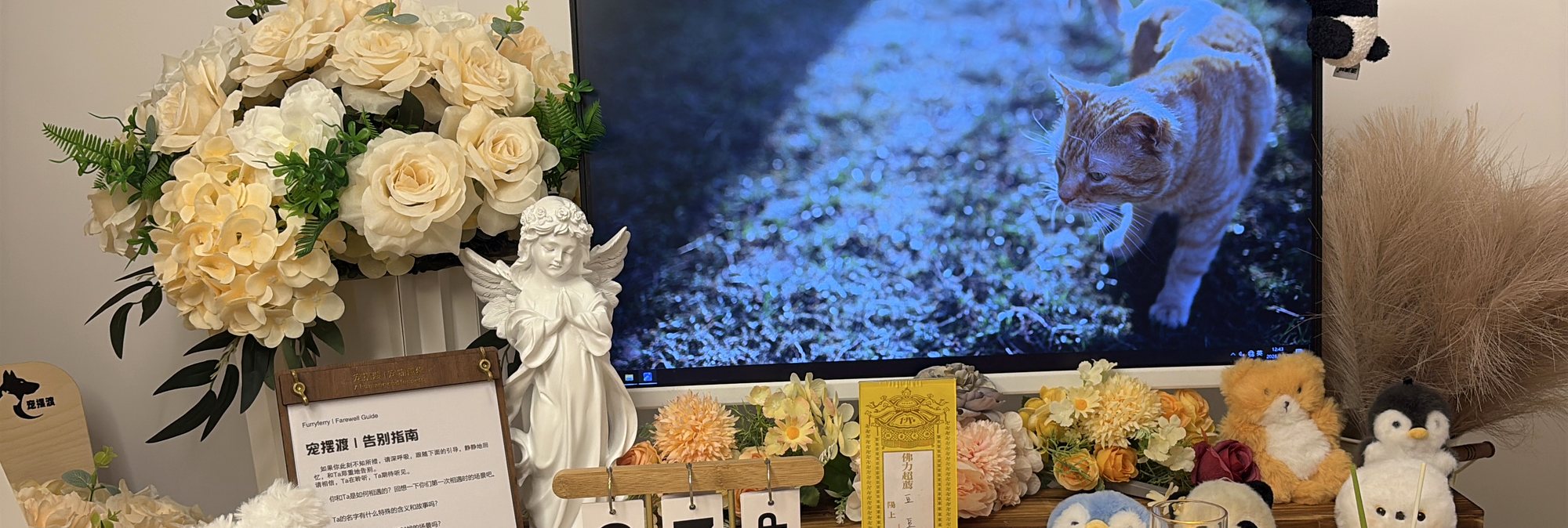 宠摆渡滁州宠物殡葬门店告别厅实景