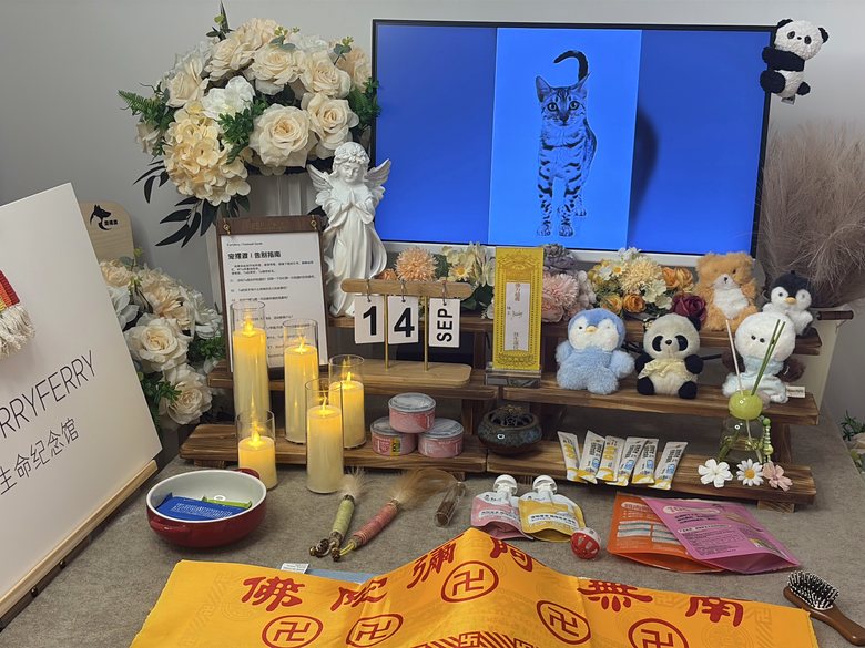 宠物纪念相册与追思布置