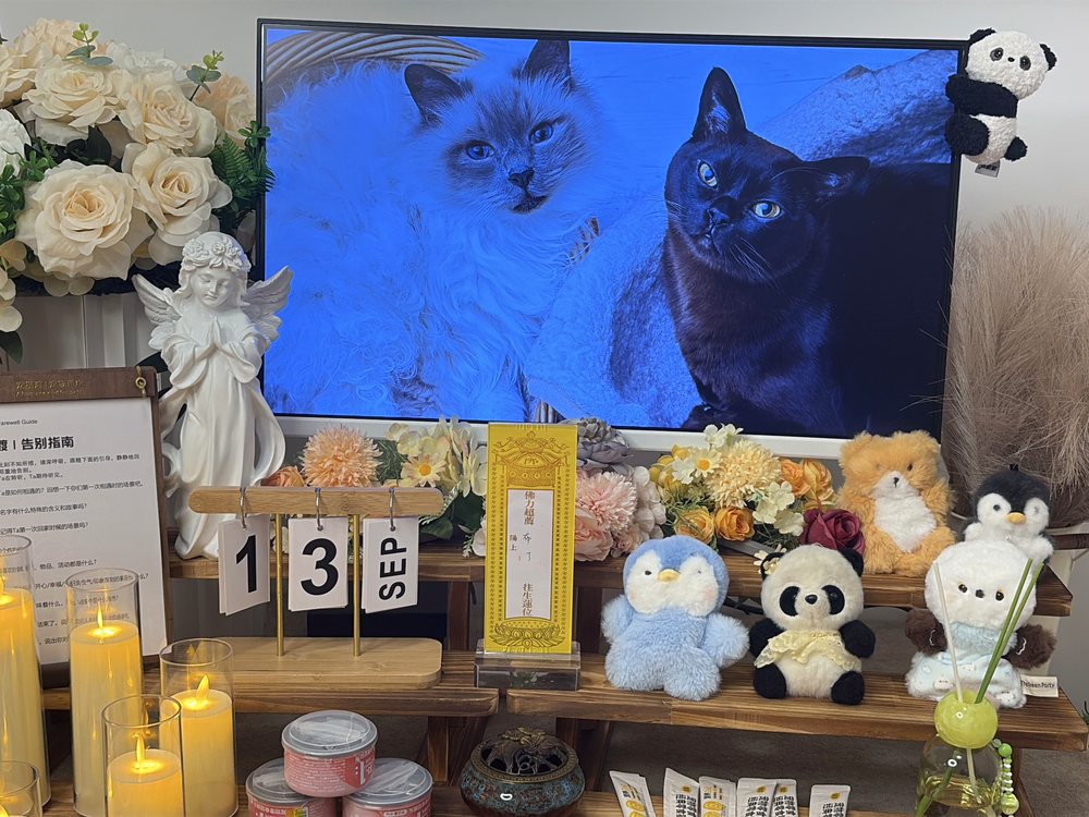 宠物骨灰交付与纪念品